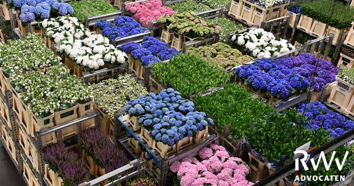 CAO Groothandel Bloemen en Planten RWV Advocaten